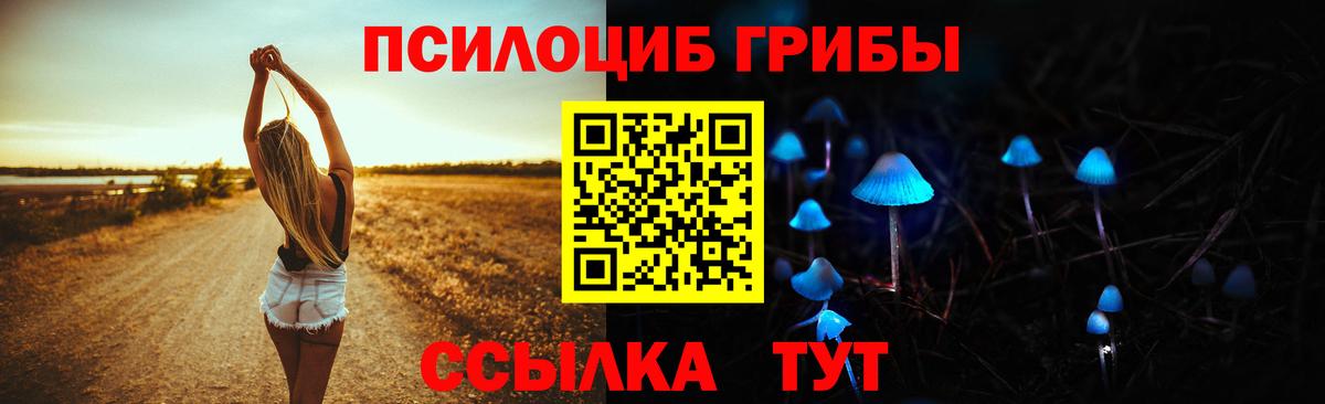 Псилоцибиновые грибы мицелий  Вход с VPN  Самара 